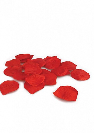 PÉTALOS DE ROSA TOUCHÉ - Imagen 3